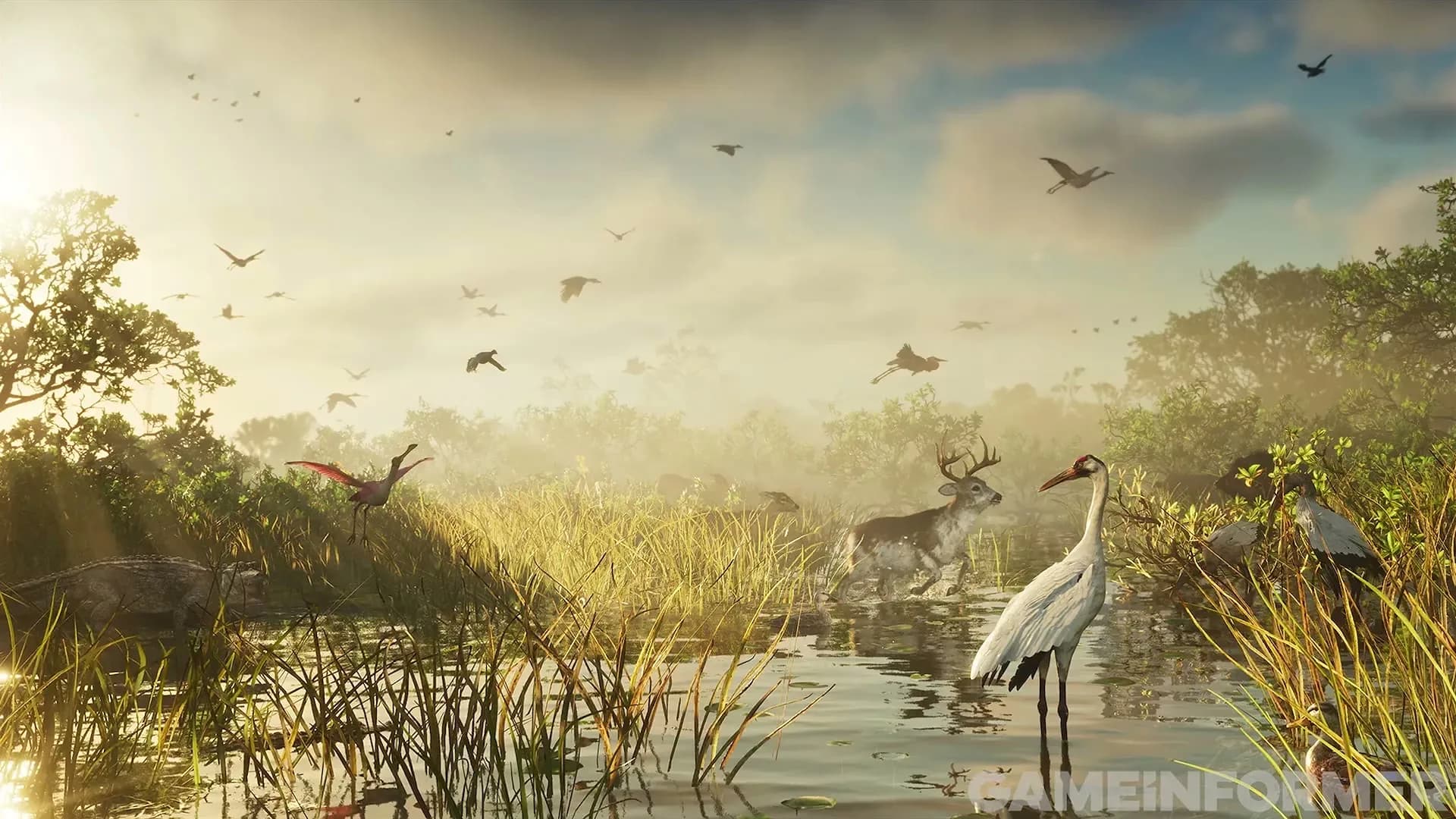 Deer, a stork and flocks of birds in a sunlit Leonida wetland.